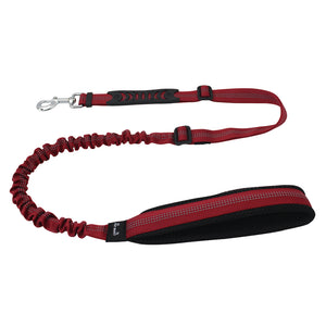 "Bull Gear Dog Leash"