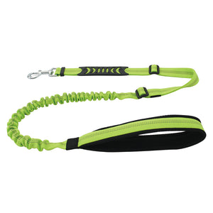 "Bull Gear Dog Leash"