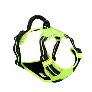 "Bully Gear Dog Harness"