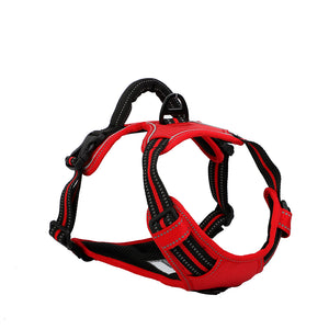 "Bully Gear Dog Harness"